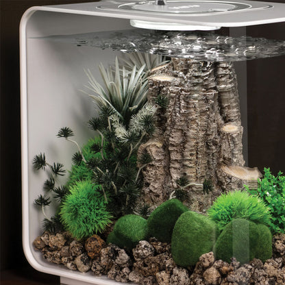 Ambulia Grey/Green - Small