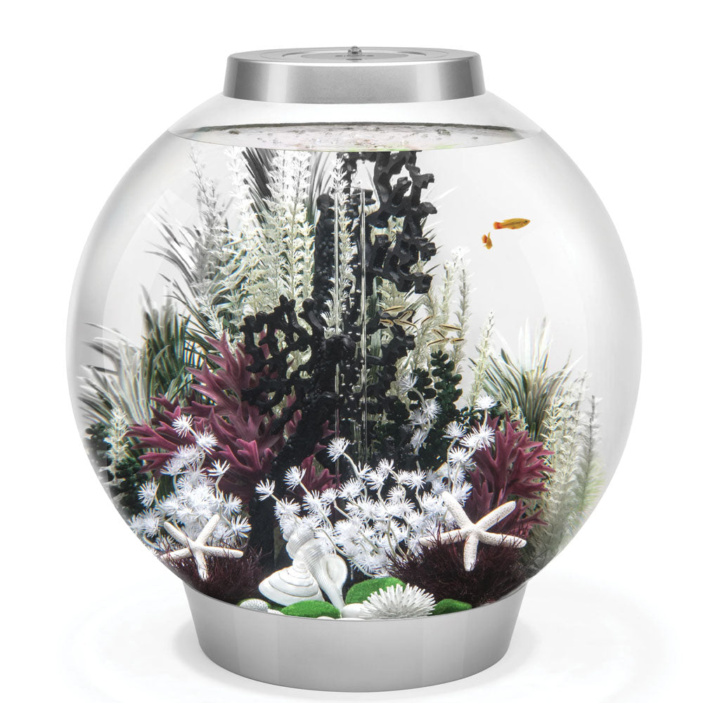 Ambulia Grey/Green - Medium