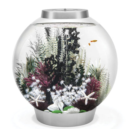 Ambulia Grey/Green - Medium