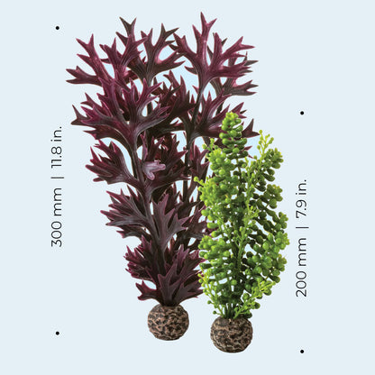 Seapearls & Kelp Olive Green