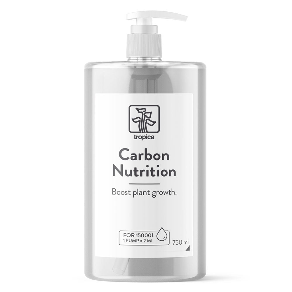 Carbon Nutrition