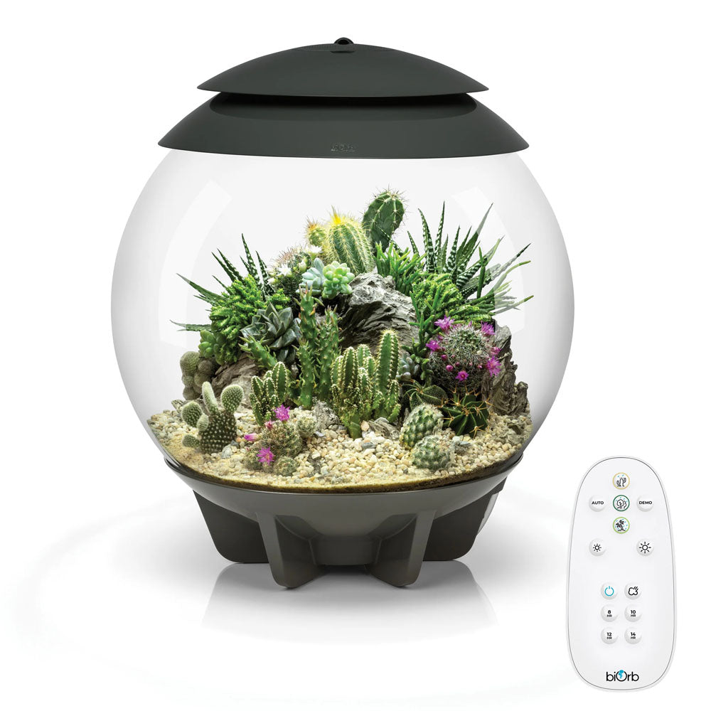 Air 30 Terrarium - Grey