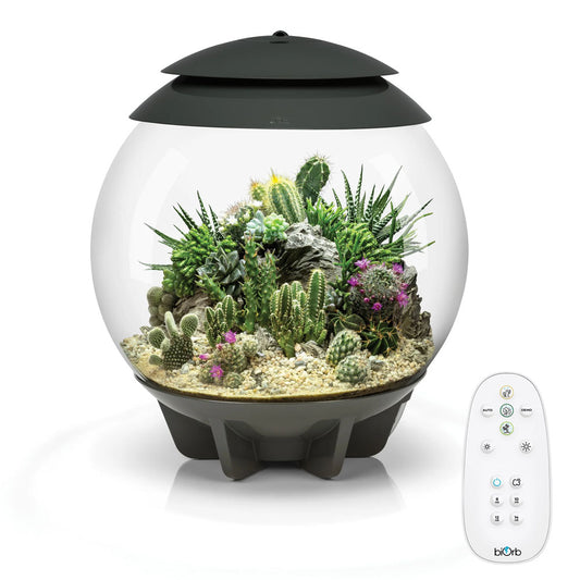 Air 30 Terrarium - Grey