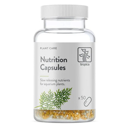 Nutrition Capsules