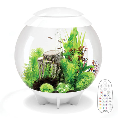 HALO 60 Aquarium MCR LED - White