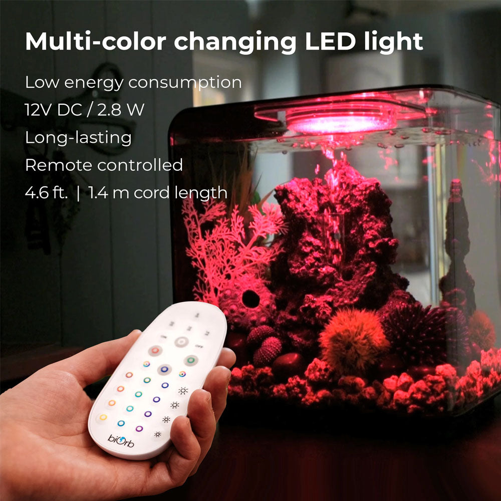MCR LED Light Large - White (DC Version)