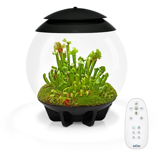 Air 30 Terrarium - Black