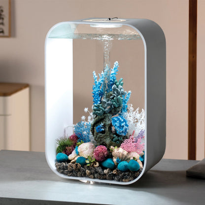 Moss Pebbles - Blue Ocean