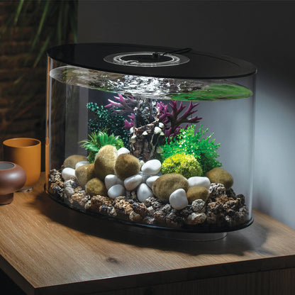 Coral Ball Set - Green