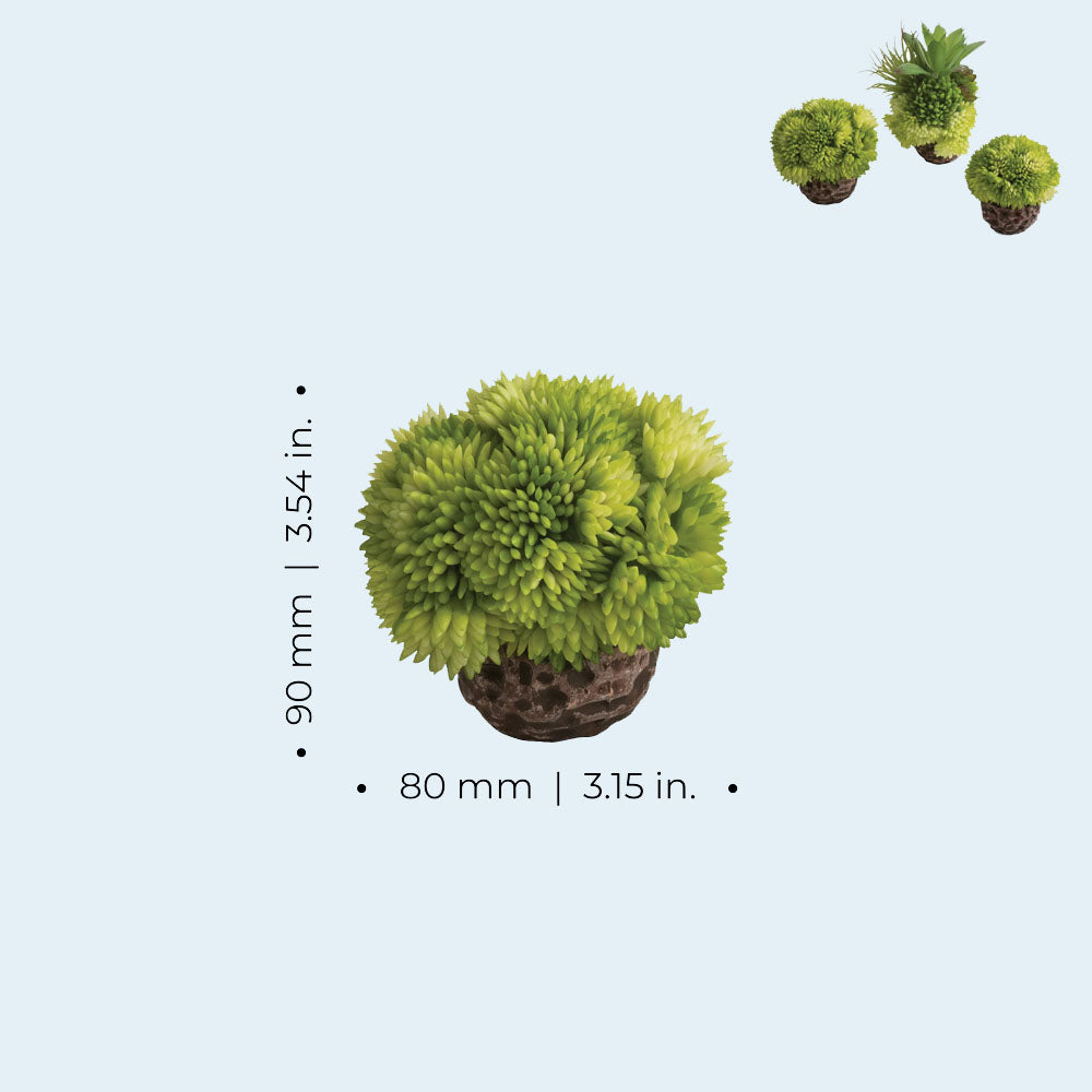 Coral Ball Set - Green