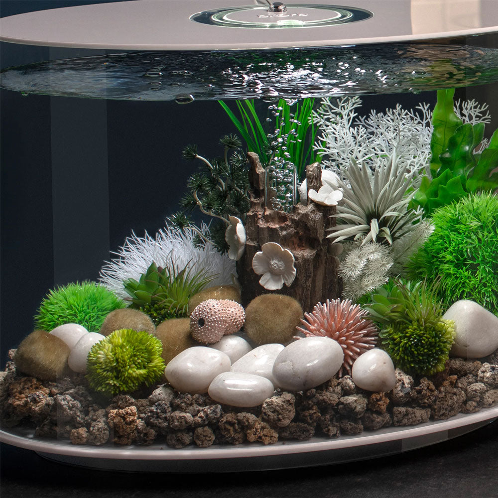 Coral Ball Set - Green