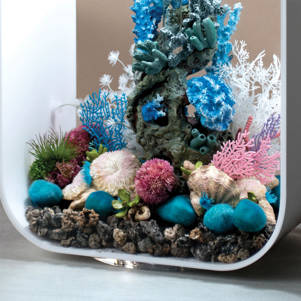 Coral Ball Set - Purple