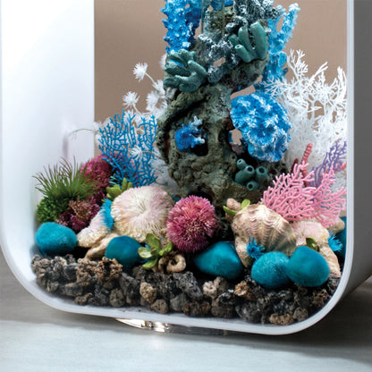 Coral Ball Set - Purple