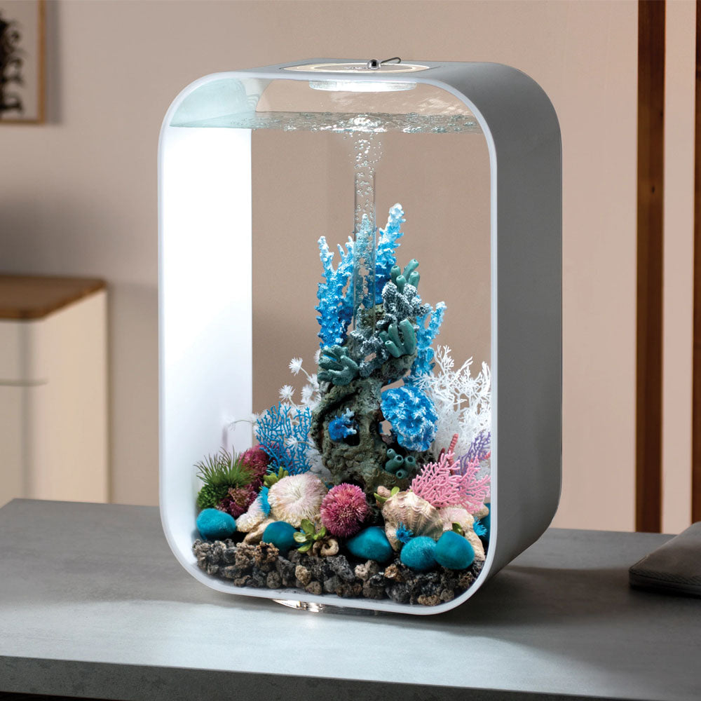 Coral Ball Set - Purple