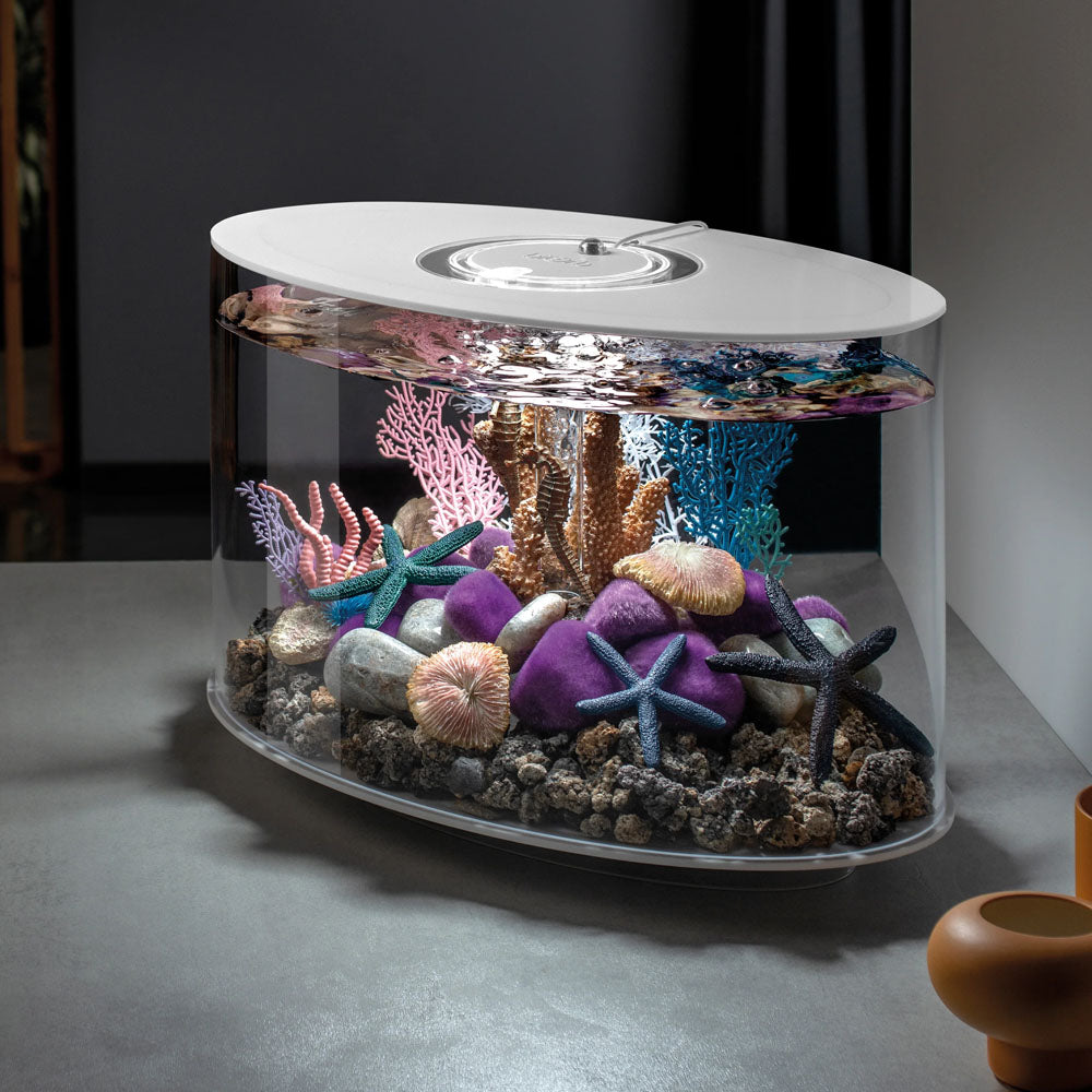 Moss Pebbles - Purple