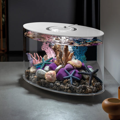 Moss Pebbles - Purple