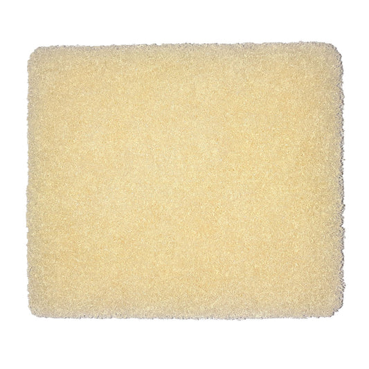 AquaOxy 2500 Air Filter Foam - 74307