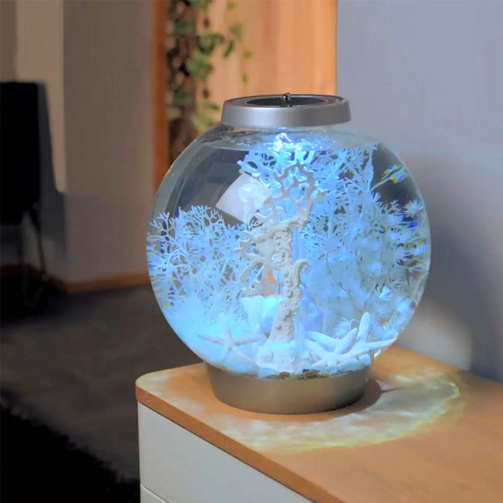 Decor Set - Winter Dream