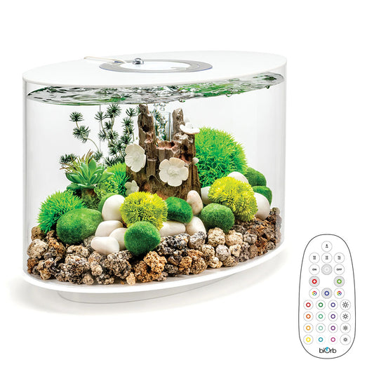 LOOP 15 Aquarium MCR LED - White