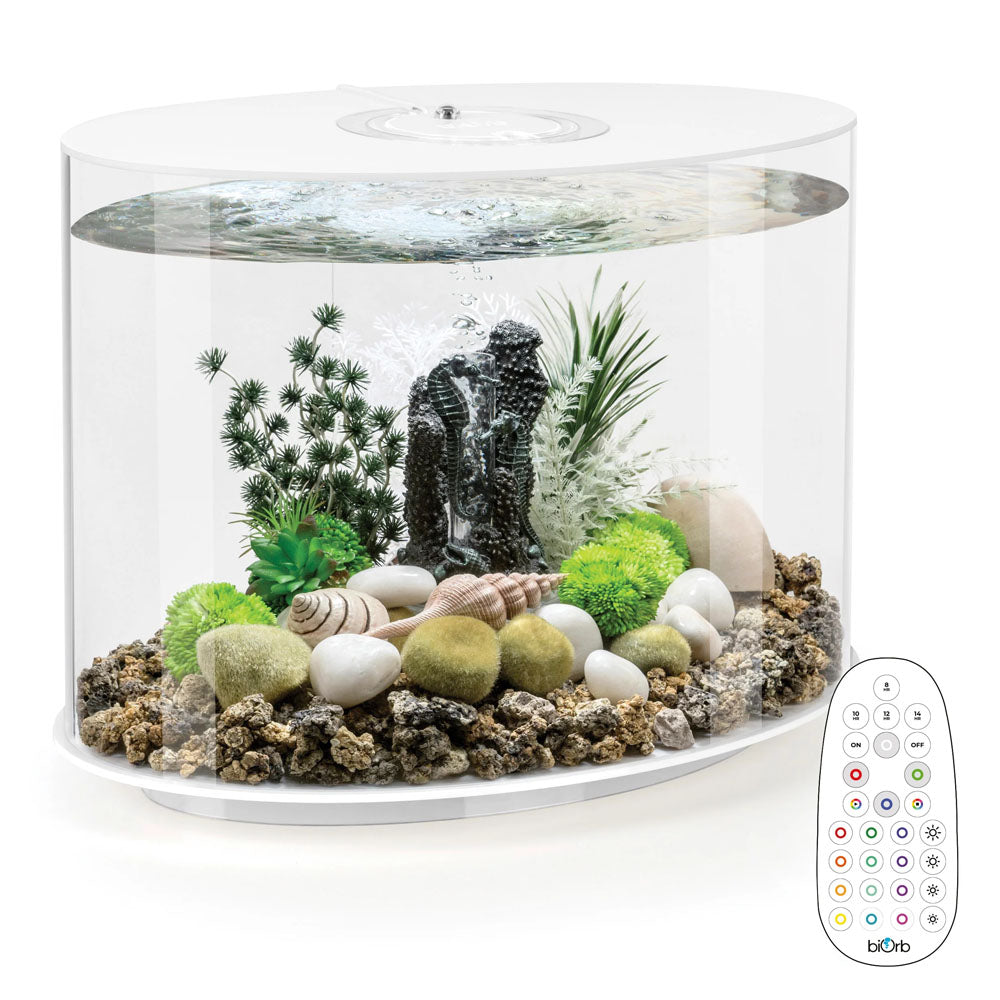 Biorb Loop 30 Aquarium Mcr Led White - Pond Planet