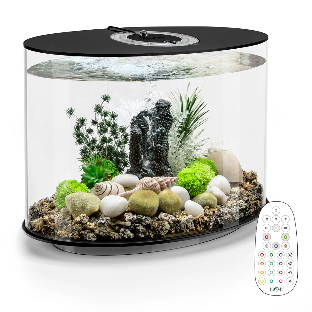 LOOP 30 Aquarium MCR LED - Black