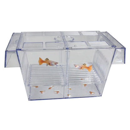 SuperFish Floating Breeding Box