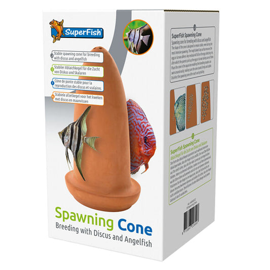 Spawning Cone