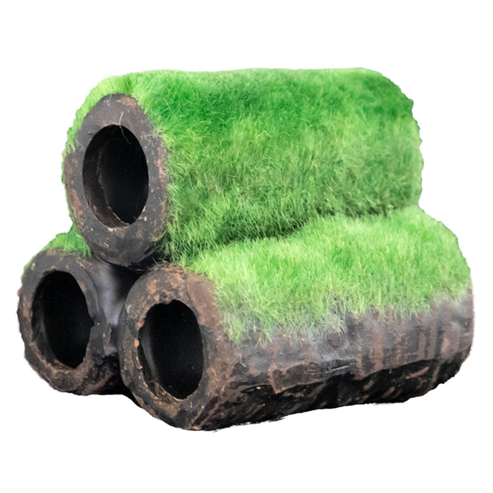 SuperFish Shrimp Home With Moss - Small