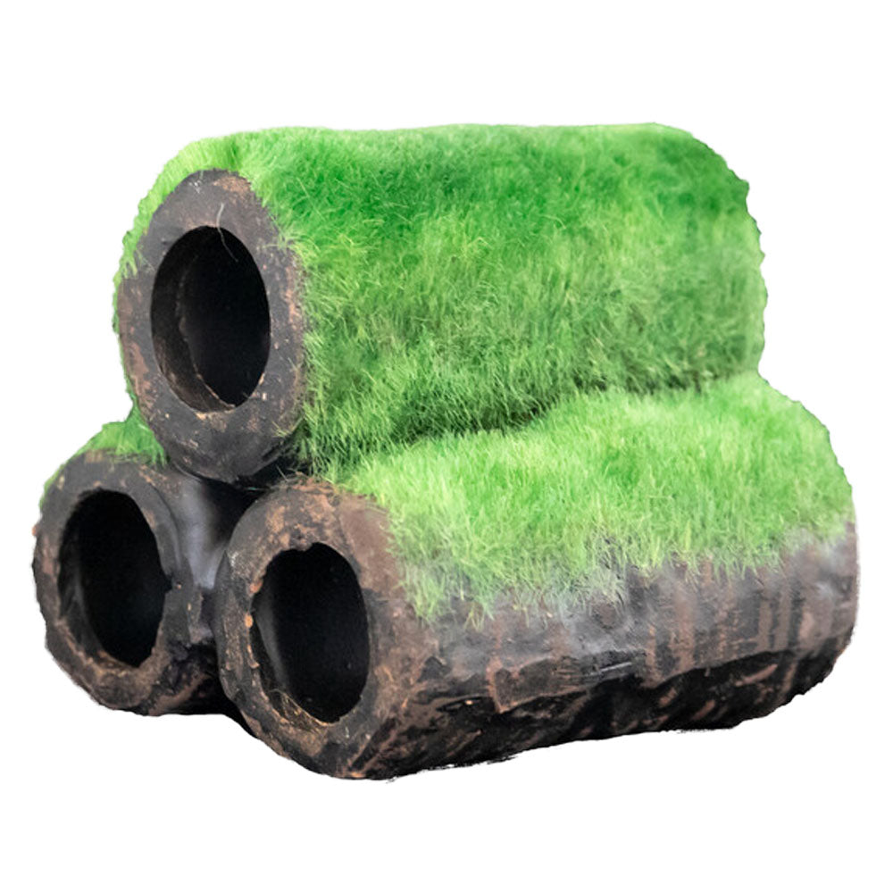 SuperFish Shrimp Home With Moss - Large