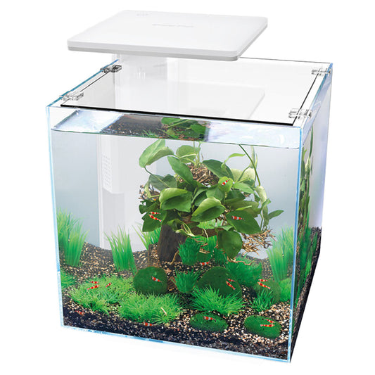 QUBIQ 30 Pro LED Aquarium - White