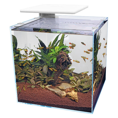QUBIQ 60 Pro LED Aquarium - White