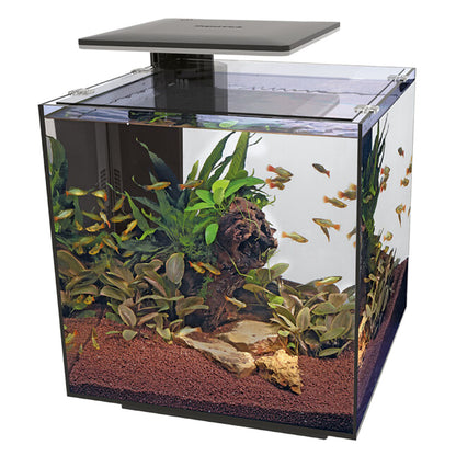 QUBIQ 60 Pro LED Aquarium - Black