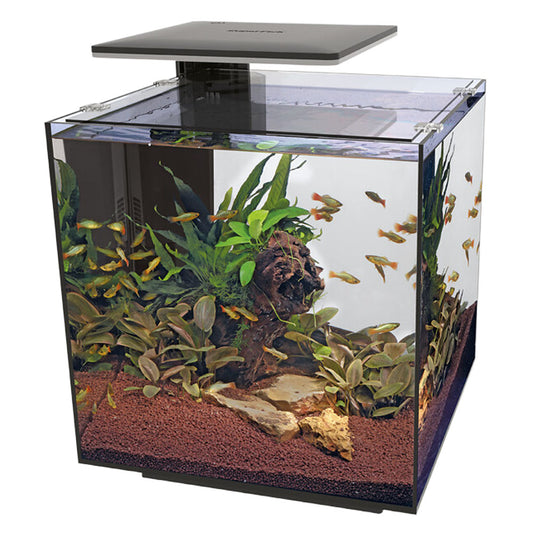 QUBIQ 60 Pro LED Aquarium - Black