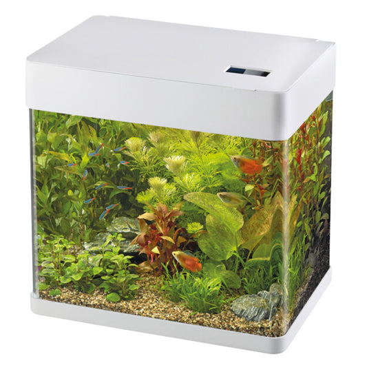 PANORAMA 20 LED Aquarium - White