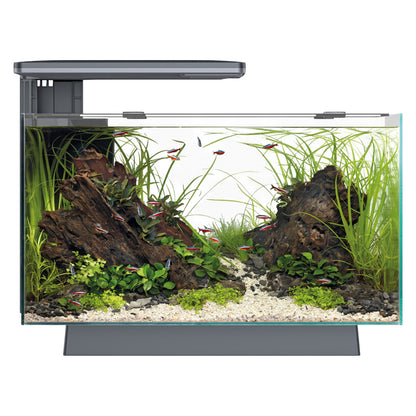QUADRO 40 Pro LED Aquarium - Black