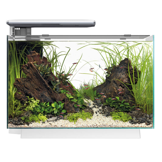 QUADRO 70 Pro LED Aquarium - White