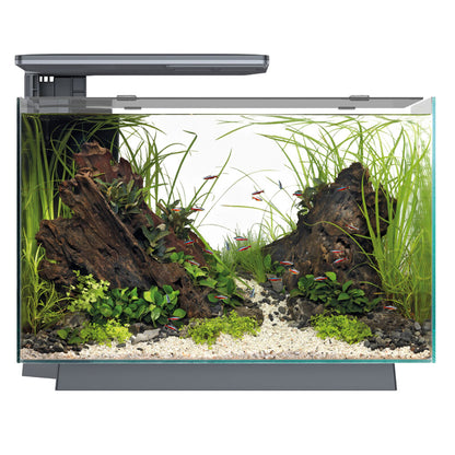 QUADRO 70 Pro LED Aquarium - Black