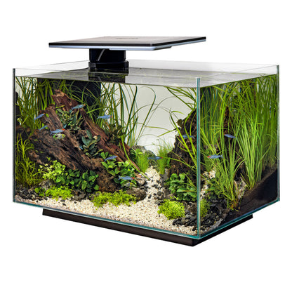 QUADRO 70 Pro LED Aquarium - Black