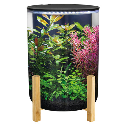 SuperFish ORBIQ 11 Aquarium - Black