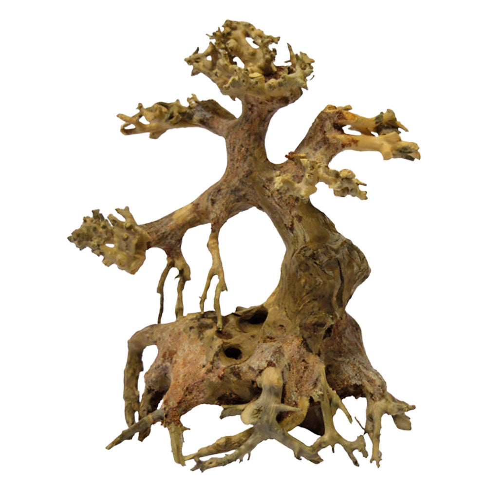 Bonsai Driftwood Tree