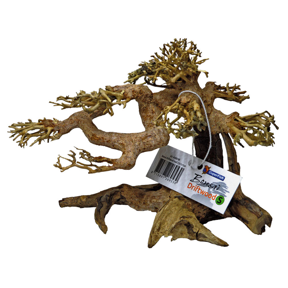 Bonsai Driftwood Tree