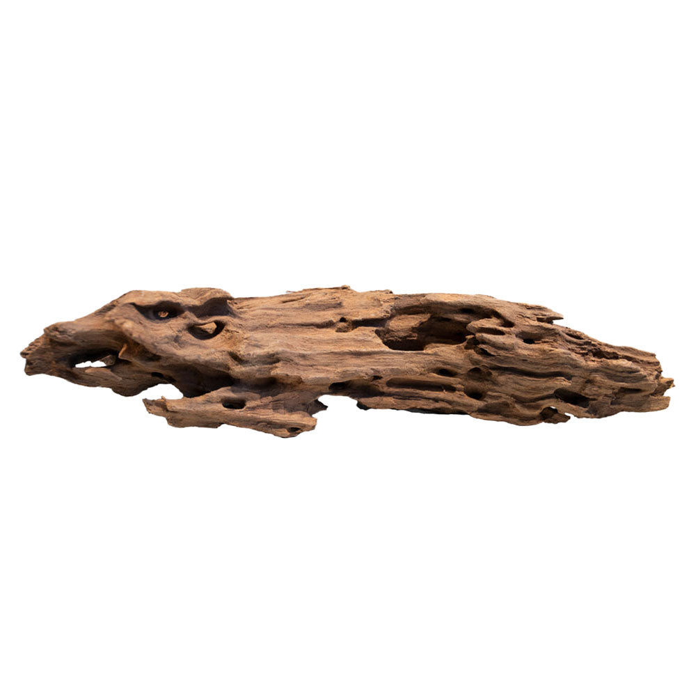 Natural Honeycomb Wood