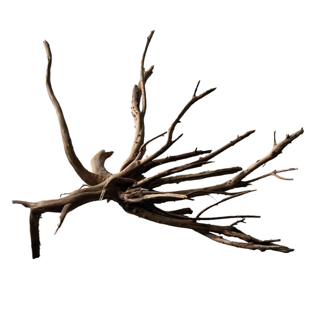 SuperFish Black Spider Wood