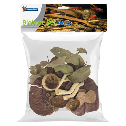 Biotope Set - Asia