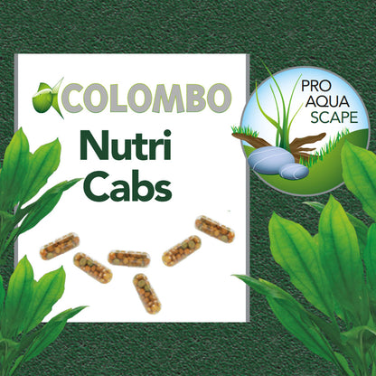 Nutri Caps - Root Fertiliser (10pk)