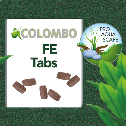 FE Tabs - Iron Supplement (10pk)