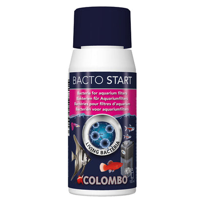 Bacto Start - Filter Bacteria 100ml