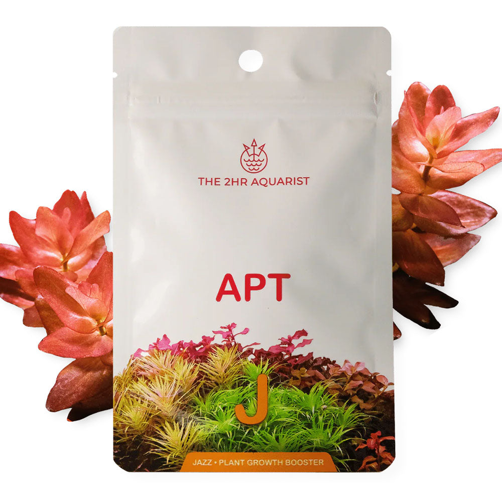 APT Jazz - Root Tabs