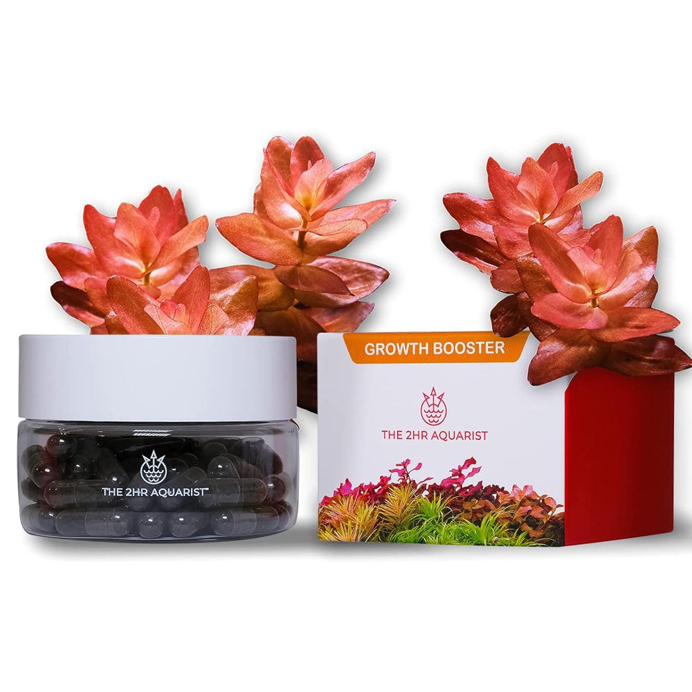 APT Jazz - Root Tabs