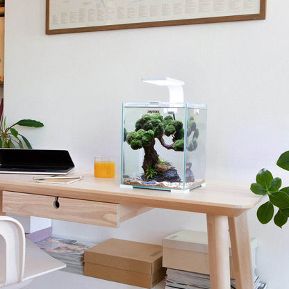 Aquael Shrimp Set Day & Night 30L - White